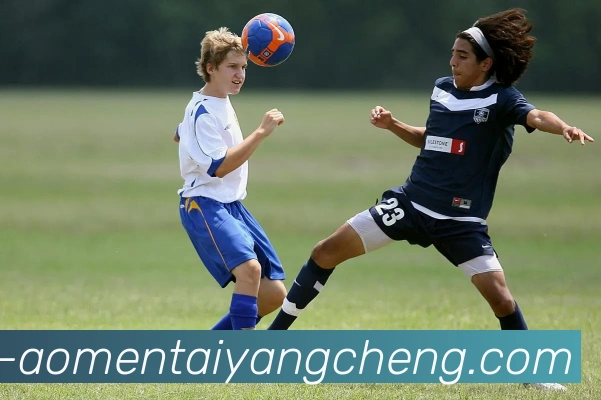 多媒体互动体验